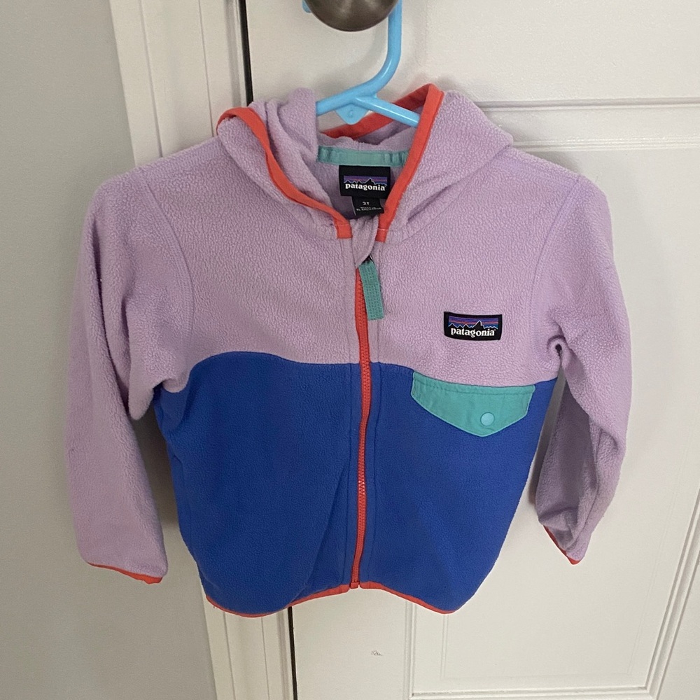 Patagonia Kids Fleece Hoodie - Purple, Blue, and Orange size 2T!
